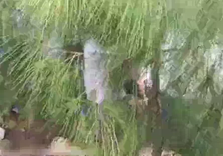 Quel est le nom de ta star du porno préférée