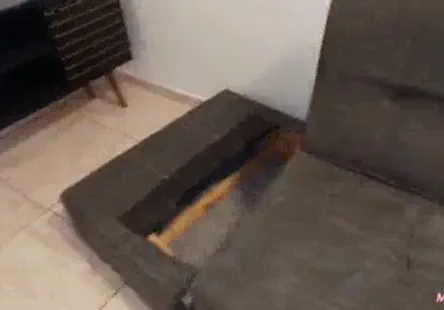 Une adolescente en chaleur frotte sa chatte humide jusquà lorgasme