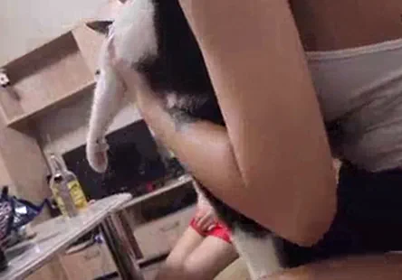 Les rednecks sont une bande dimbéciles qui fument du crack et se droguent et qui adorent parler de leur vie de merde.