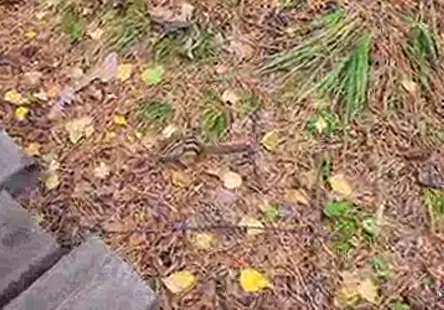 Je vais la baiser si fort quelle jouira sur ma bite.