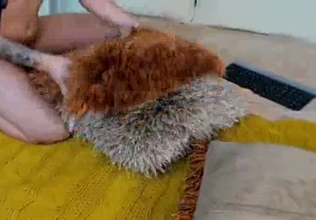 Il a un permis de tuer, mais il préfère faire lamour.